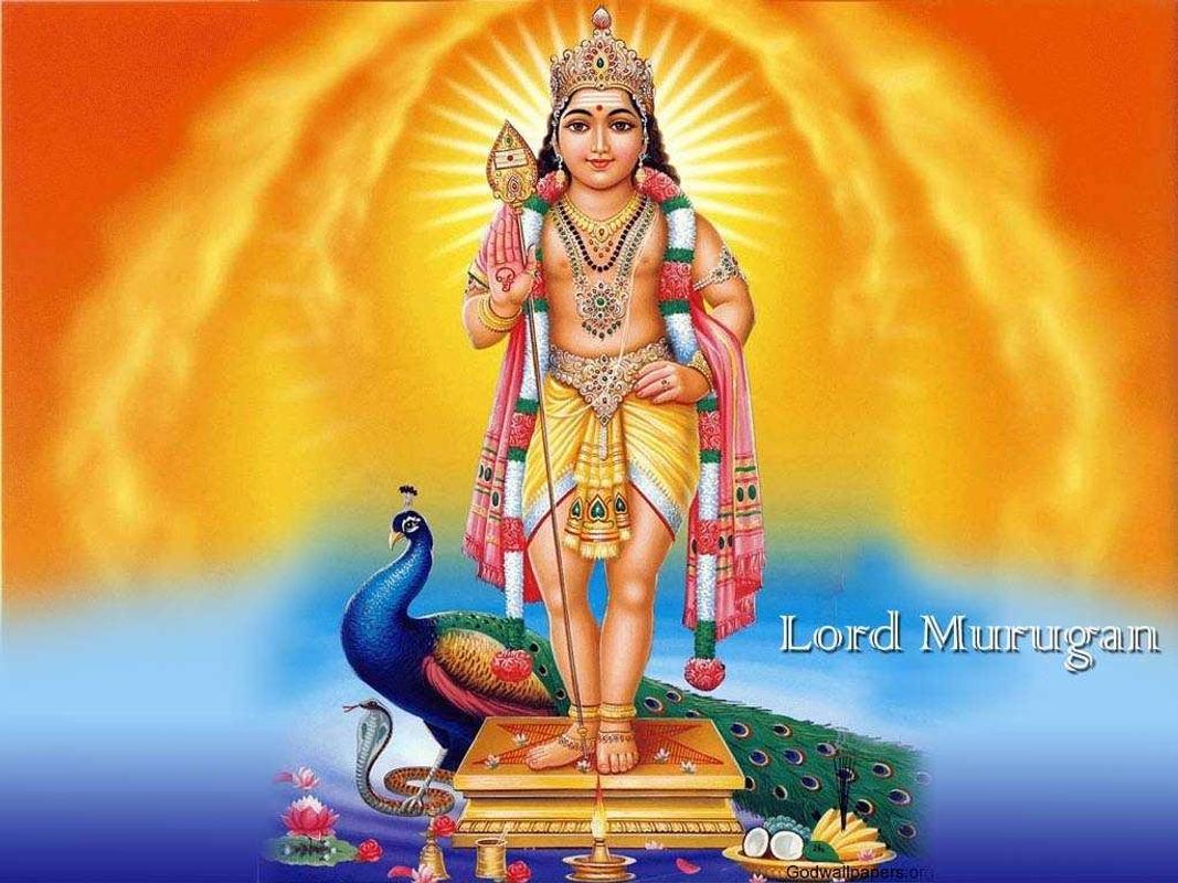 230 Sri Skanda Lord Murugan Images Photos HD Download